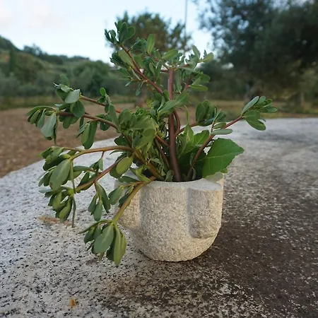 Agroturismo Mater Terra